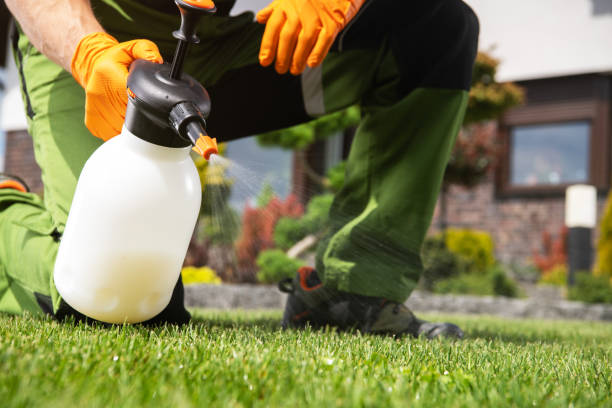 Reliable Jefferson, GA Pest Control Solutions