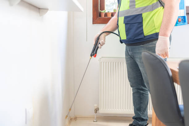 Best Local Pest Control Services  in Jefferson, GA