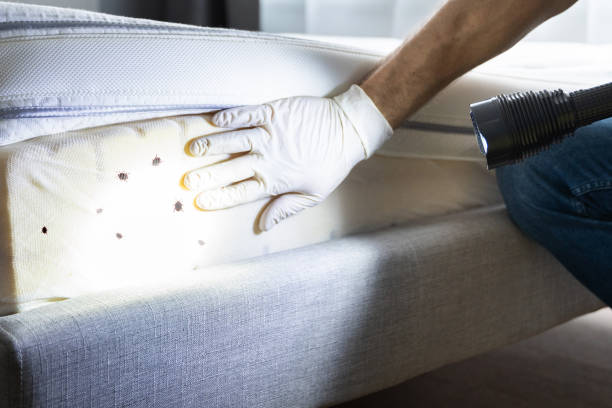 Best Pest Prevention Services  in Jefferson, GA