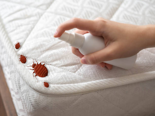 Best Residential Pest Control  in Jefferson, GA