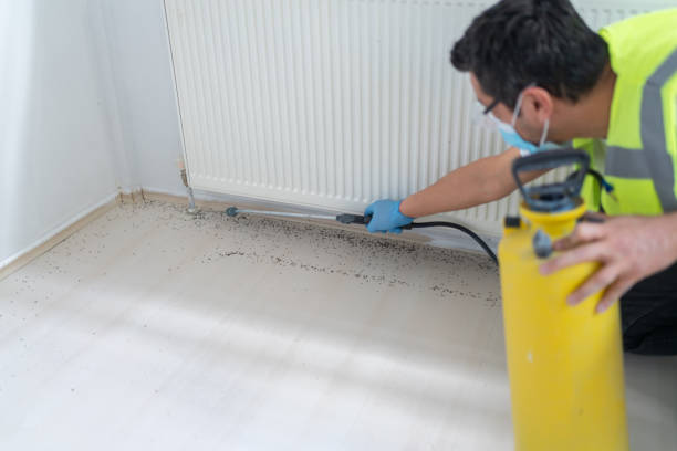 Best Flea Control Services  in Jefferson, GA