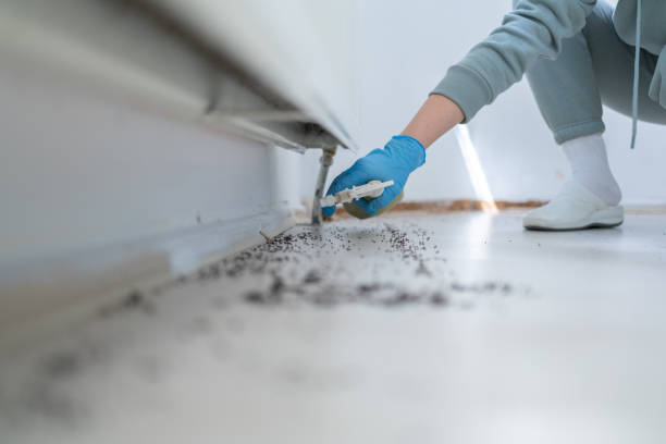 Best Bed Bug Extermination  in Jefferson, GA
